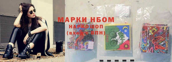 сатива Михайловск