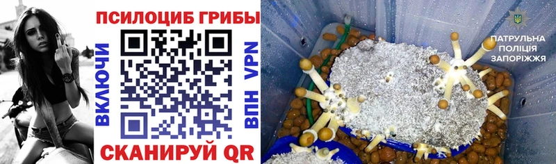 Галлюциногенные грибы Cubensis  кракен вход  Козловка 